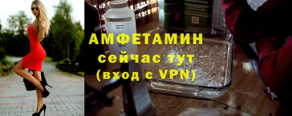 шишки Няндома