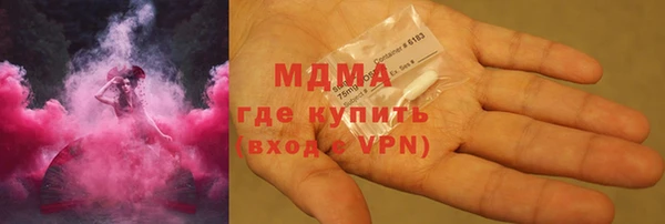 шишки Няндома