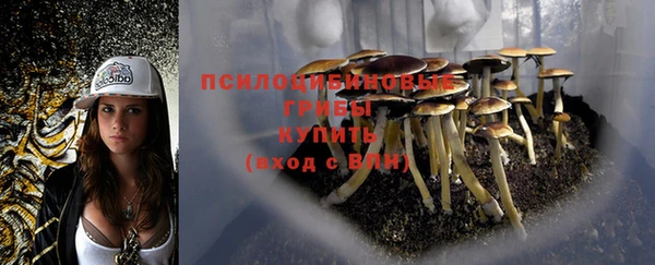 гидропоника Нефтегорск