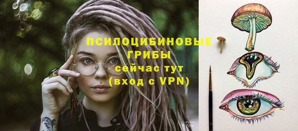 хмурый Нея