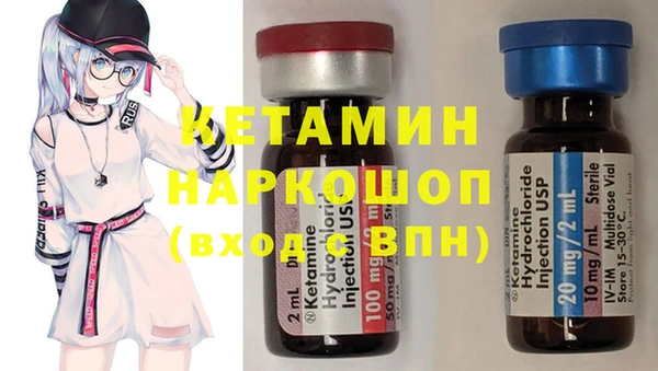 шишки Няндома