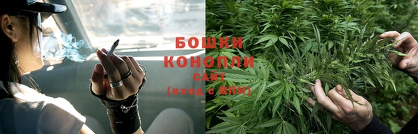 хмурый Нея